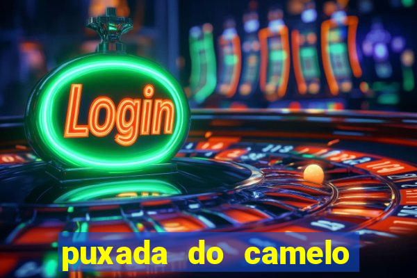 puxada do camelo jogo do bicho